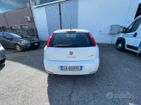 Usata Fiat Punto Young 75 CV (55 kW) 2014 Bianco Utilitaria