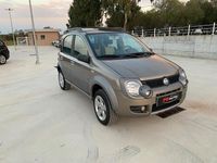 Usata Fiat Panda Cross Cross 75 CV (55 kW) 2006 Verde Utilitaria