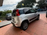 Usata Fiat Panda 4x4 S 95 CV (69 kW) 2019 Grigio Utilitaria