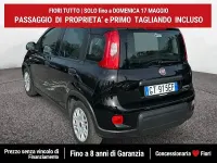 Usata Fiat Panda S 69 CV (50 kW) 2024 Nero Utilitaria