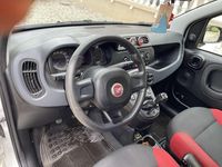 Usata Fiat Panda Trekking 95 CV (69 kW) 2017 Utilitaria