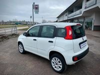 Usata Fiat Panda 70 CV (51 kW) 2019 Bianco Utilitaria