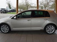 usata VW Golf 1.6 TDI 115 CV DSG 5p. Executive