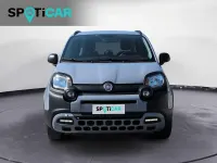 Usata Fiat Panda Cross Cross 69 CV (50 kW) 2021 Grigio Utilitaria