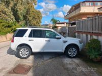 Usata Land Rover Freelander 2 2010 Bianco SUV