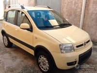 Usata Fiat Panda 4x4 60 CV (44 kW) 2010 Giallo Utilitaria