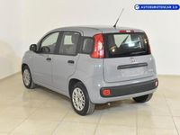 usata Fiat Panda 1.0 FireFly S&S Hybrid Neopatentato