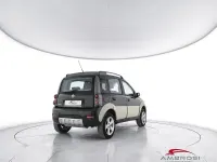 Usado Fiat Panda 4x4 Cross 69 CV (50 kW) 2006 Verde Utilitario