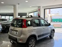 Usata Fiat Panda 4x4 S 95 CV (69 kW) 2016 Grigio Utilitaria