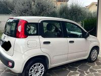 Usata Fiat Panda Easy 69 CV (50 kW) 2015 Utilitaria