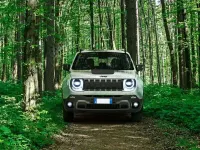 Usata Jeep Renegade Limited 131 CV (96 kW) 2021 Bianco SUV