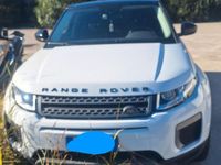 Usata Land Rover Range Rover evoque 150 CV (110 kW) 2017 Bianco SUV