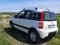 usata Fiat Panda 4x4 Panda 1.3 MJT 16V DPF 4x4 Climbing