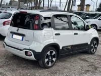 Usata Fiat Panda Cross Cross 69 CV (50 kW) 2025 Bianco Utilitaria