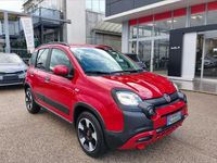 Usata Fiat Panda Cross Cross 70 CV (51 kW) 2024 Rosso Utilitaria