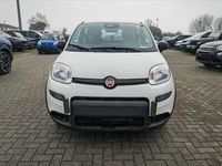 Usata Fiat Panda S 69 CV (50 kW) 2024 Bianco Utilitaria
