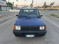 Usata Fiat Panda 4x4 Trekking 54 CV (39 kW) 1999 Blu Utilitaria