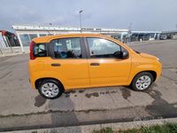 Usata Fiat Panda Easy 69 CV (50 kW) 2020 Utilitaria