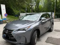 Usata Lexus NX300h Executive Line 155 CV (114 kW) 2015 Grigio SUV