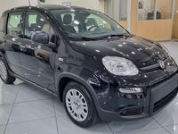 Usata Fiat Panda S 69 CV (50 kW) 2024 Nero Utilitaria