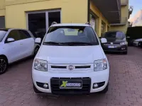 Usata Fiat Panda 4x4 Climbing 75 CV (55 kW) 2011 Bianco Utilitaria