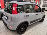 usata Fiat Panda Cross 1.0 FireFly S&S Hybrid City usato