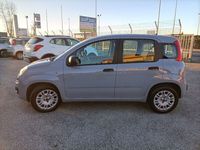 usata Fiat Panda 1.2 Easy