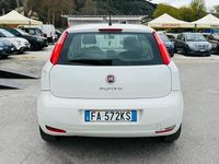 Usata Fiat Punto Lounge 75 CV (55 kW) 2015 Bianco Utilitaria