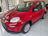 Usata Fiat Panda 70 CV (51 kW) 2024 Rosso Utilitaria