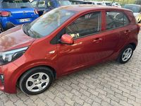 Usata Kia Picanto X-Line 67 CV (49 kW) 2023 Rosso Utilitaria