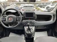 Usata Fiat Panda Cross Cross 69 CV (50 kW) 2024 Blu/azzurro Utilitaria