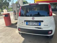 Usata Fiat Panda Pop 85 CV (62 kW) 2014 Bianco Utilitaria