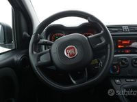 Usata Fiat Panda Easy 69 CV (50 kW) 2020 Grigio Utilitaria