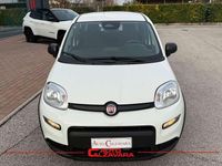 Usata Fiat Panda S 69 CV (50 kW) 2024 Bianco gelato Utilitaria