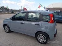 Usata Fiat Panda Easy 69 CV (50 kW) 2018 Grigio Utilitaria