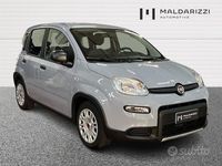 Usata Fiat Panda S 70 CV (51 kW) 2023 Grigio Utilitaria