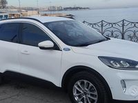 Usata Ford Kuga 120 CV (88 kW) 2022 Bianco SUV