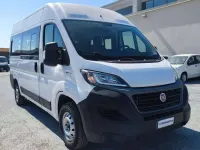 Usata Fiat Ducato 140 CV (102 kW) 2020 Bianco Furgone