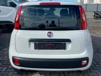 Usata Fiat Panda 2018 Bianco Berlina