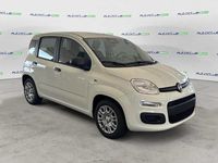 Nuova Fiat Panda Icon 69 CV (50 kW) 2025 Bianco Utilitaria