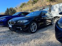 usata BMW 520 520 d Luxury