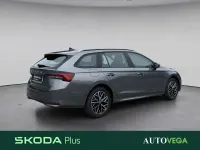 Usata Skoda Octavia Executive 150 CV (110 kW) 2025 Grigio pastello Station wagon