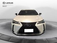 Usata Lexus UX 250h Executive Line 184 CV (135 kW) 2020 Bianco perla SUV