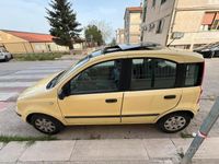 usata Fiat Panda Panda 1.2 Dynamic Eco