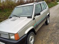 Usata Fiat Panda 4x4 50 CV (36 kW) 1997 Grigio Utilitaria