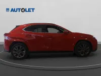 Usata Lexus UX Sport Line 152 CV (111 kW) 2024 Red/black SUV
