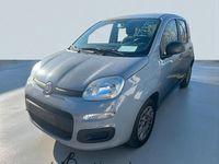 Usata Fiat Panda Easy 69 CV (50 kW) 2019 Grigio Berlina