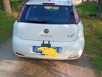 Usata Fiat Punto Evo Dynamic 86 CV (63 kW) 2011 Utilitaria