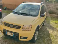 Usata Fiat Panda 4x4 60 CV (44 kW) 2006 Utilitaria