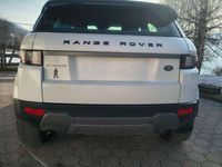 Usata Land Rover Range Rover evoque HSE Dynamic 150 CV (110 kW) 2018 Bianco SUV